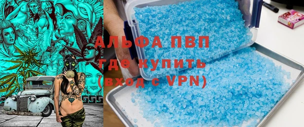 гидра Алексин